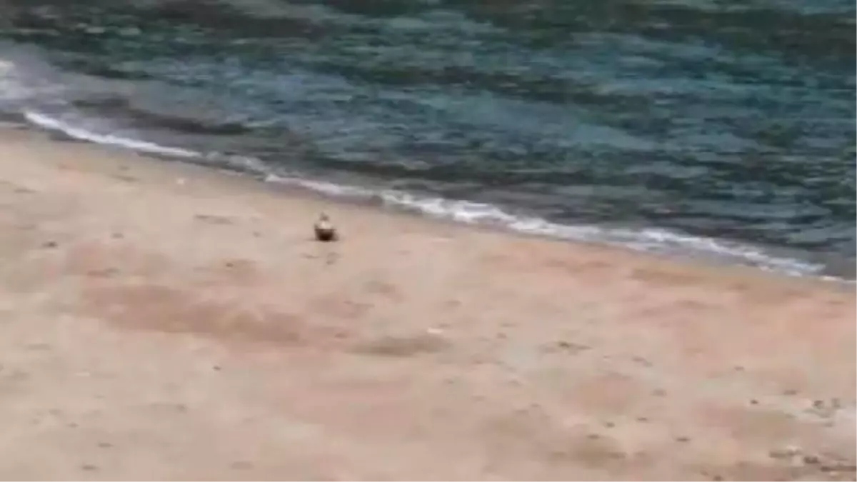 Şile Ağlayan Kayalar Mevkii\'nde Sahil Kenarında Mayın Tetikleyici Sistemi Olduğu Öğrenilen Bir...