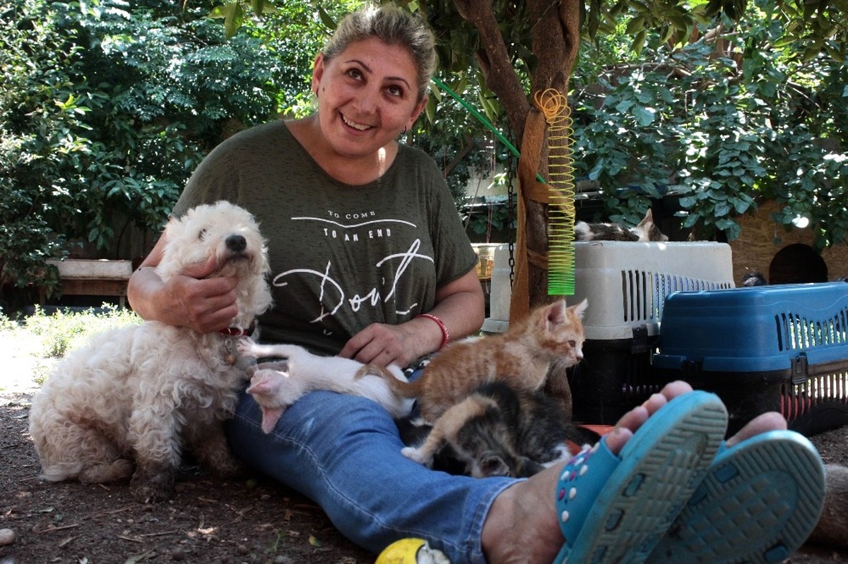 Evinde Yüzü Aşkın Kedi ve Köpek Besleyen Kadın Mahkemelik Oldu!