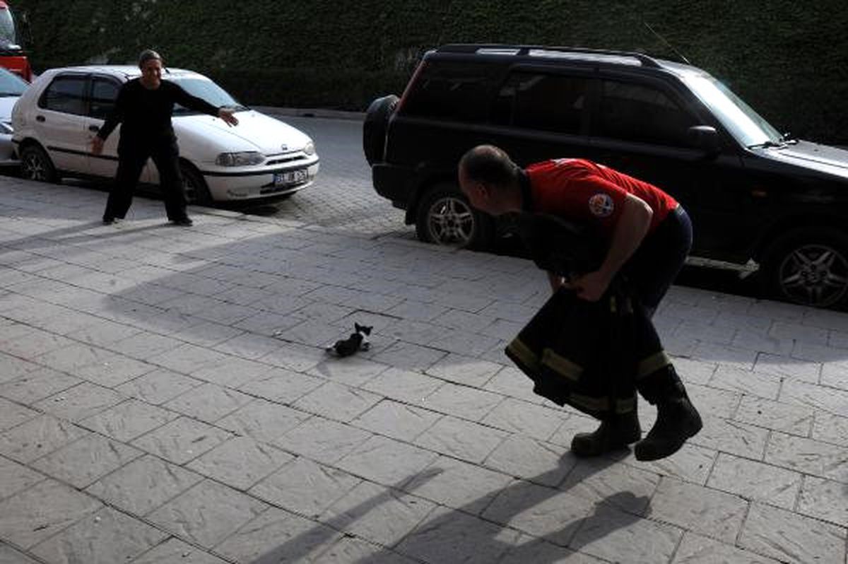 İnatçı Kedi İtfaiye ve Mahalleliyi Seferber Etti