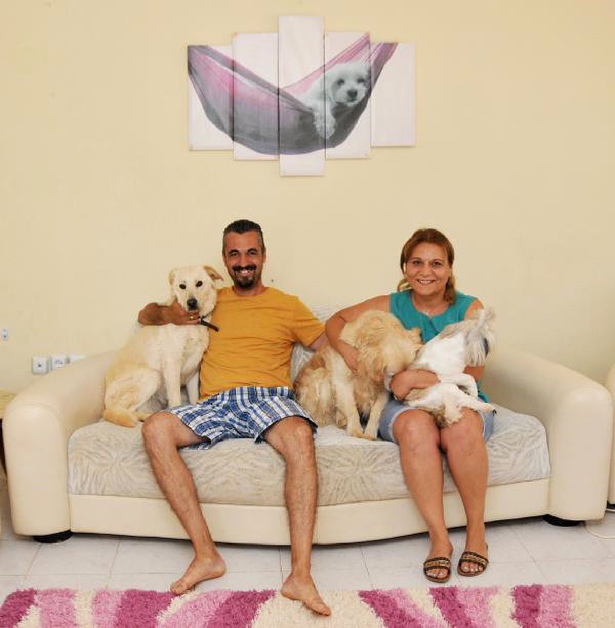 Köpeklere Özel Pansiyon