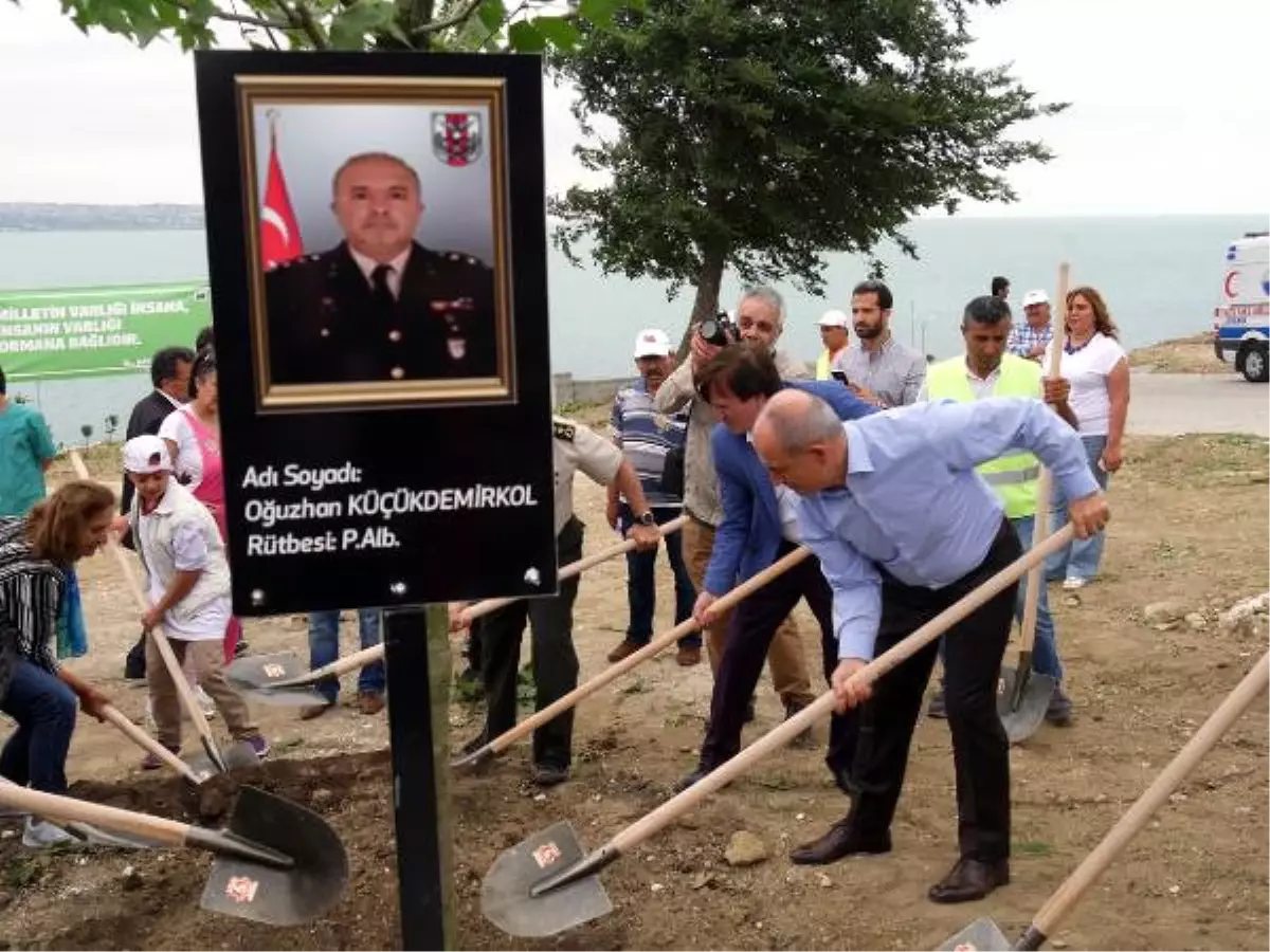 13 Şehidin Anısına 13 Çınar Ağacı Dikildi