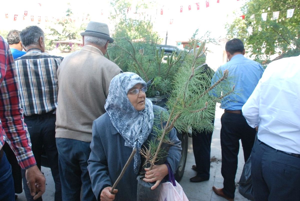 Çevre Gününde Halka Fidan Dağıtıldı