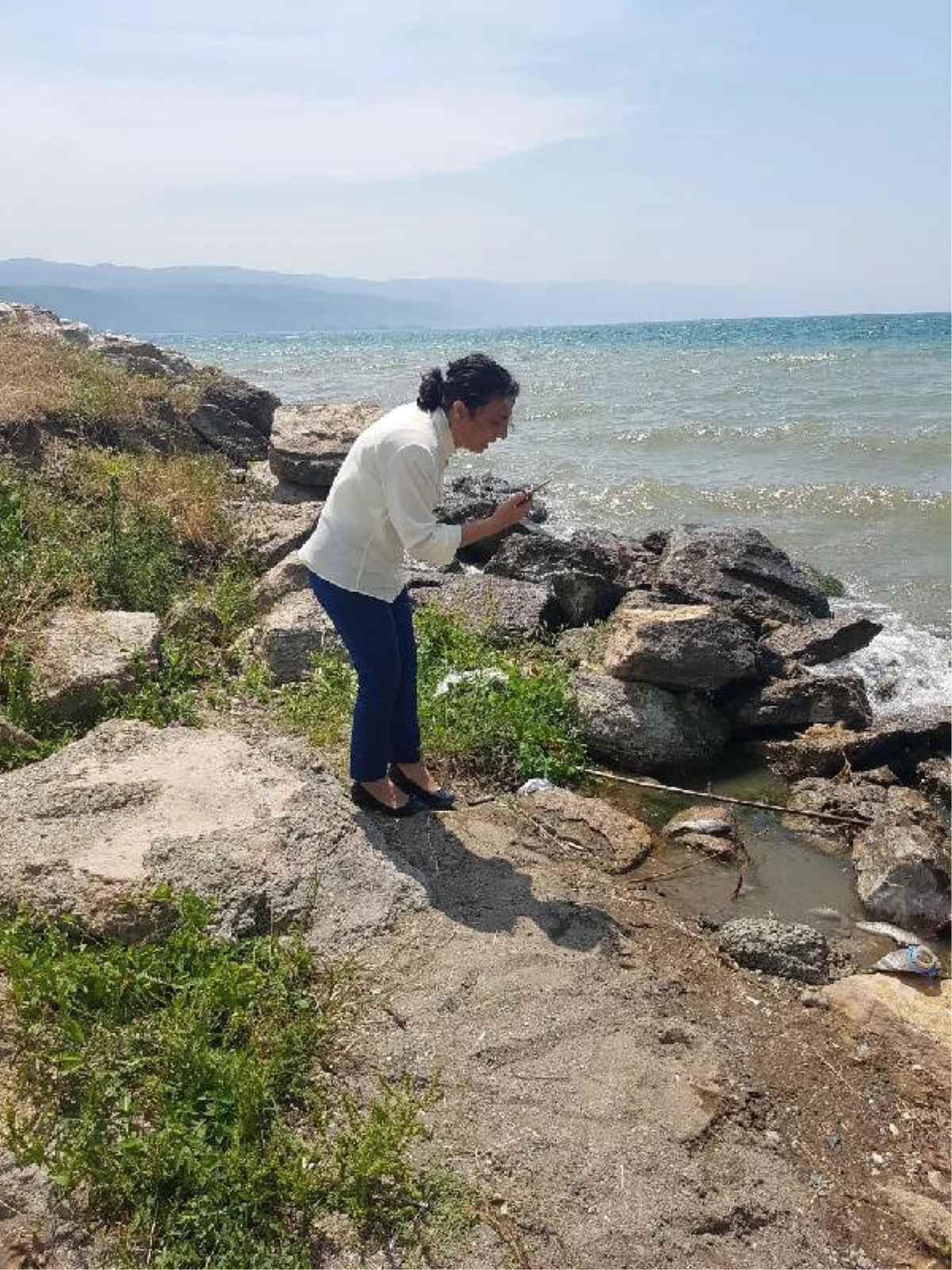 CHP\'li Vekil, İznik Gölü\'ndeki Kirliliği Gösterip İşbirliği Çağrısı Yaptı