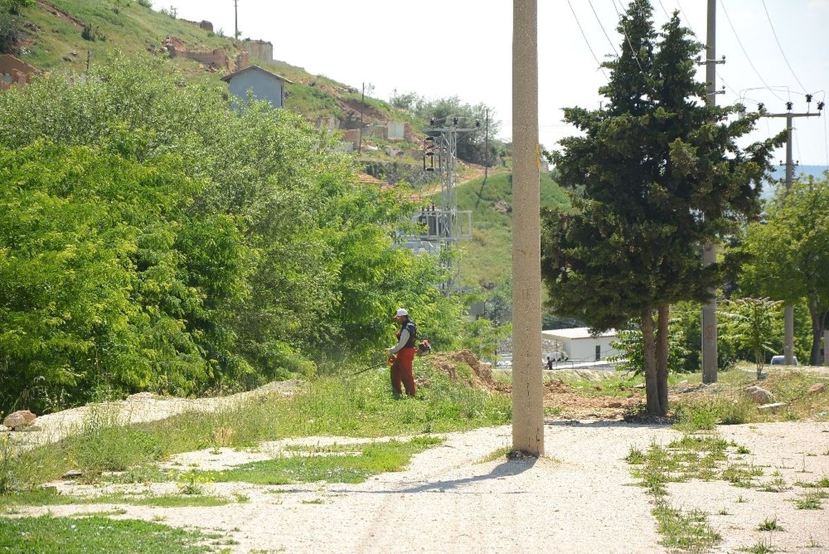 Dinar\'da Yabani Ot Temizlik Çalışmaları Devam Ediyor