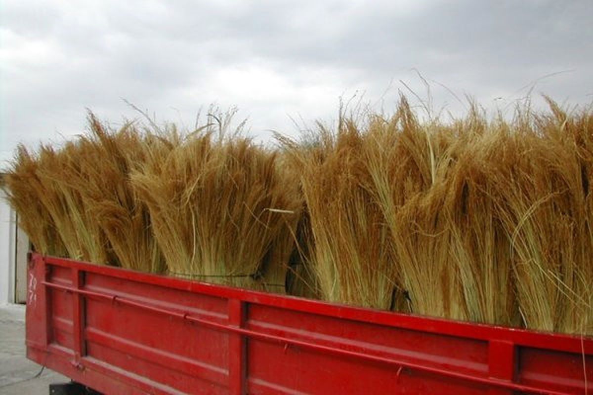 Edirne Ticaret Borsası
