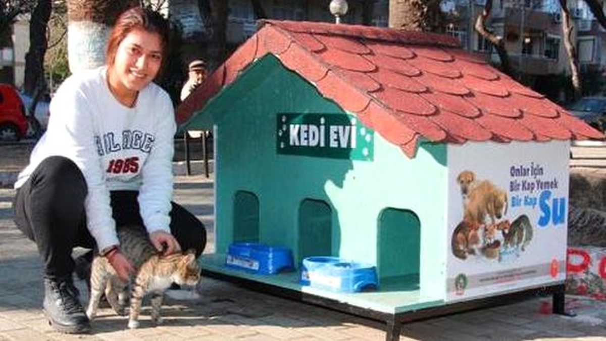 Giresun Belediyesinden Kediler İçin Ev