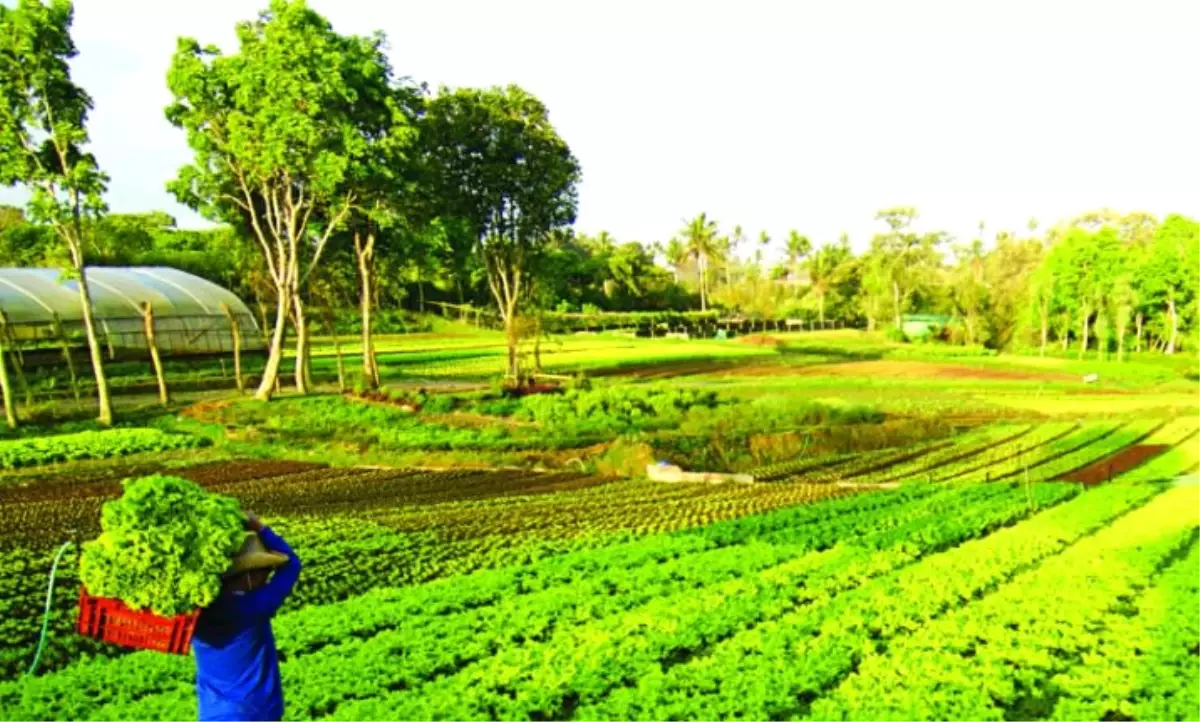 Hibe ve Destek Kredisi Alma Şartları