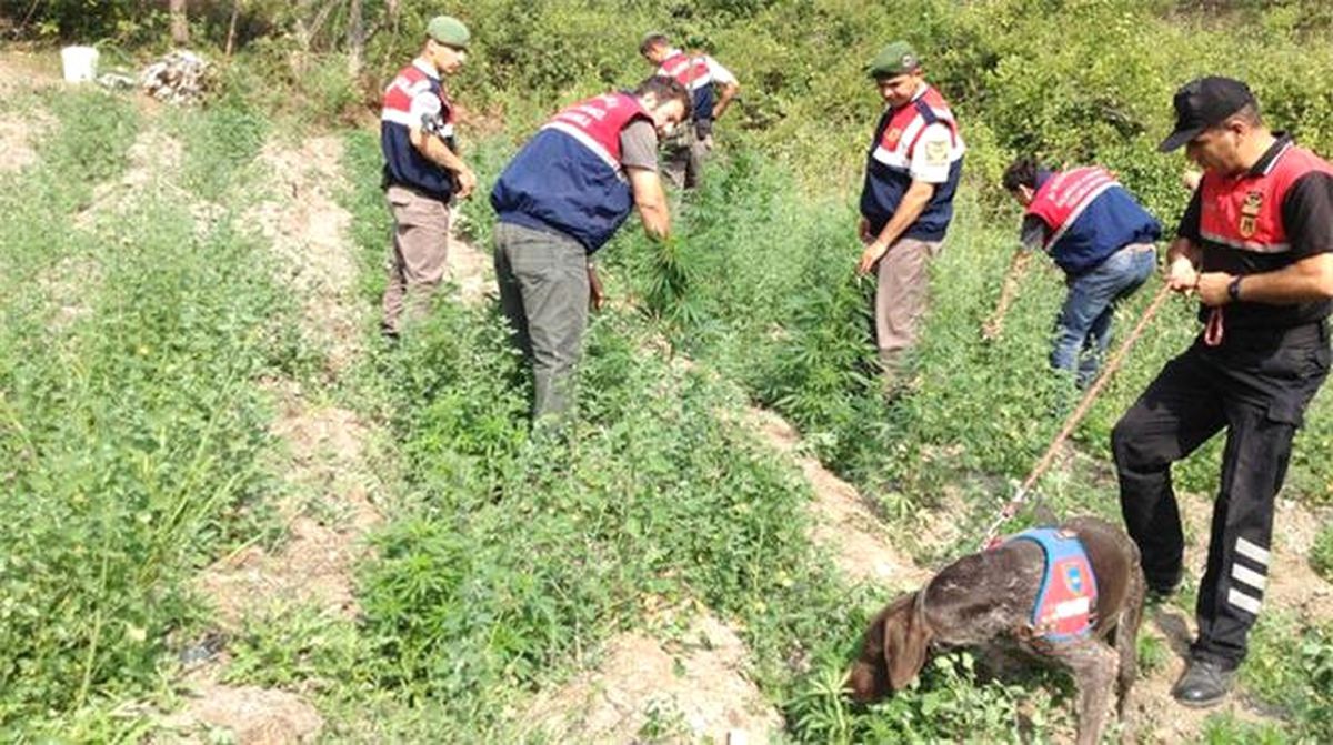 İzmir\'de Uyuşturucu Operasyonu