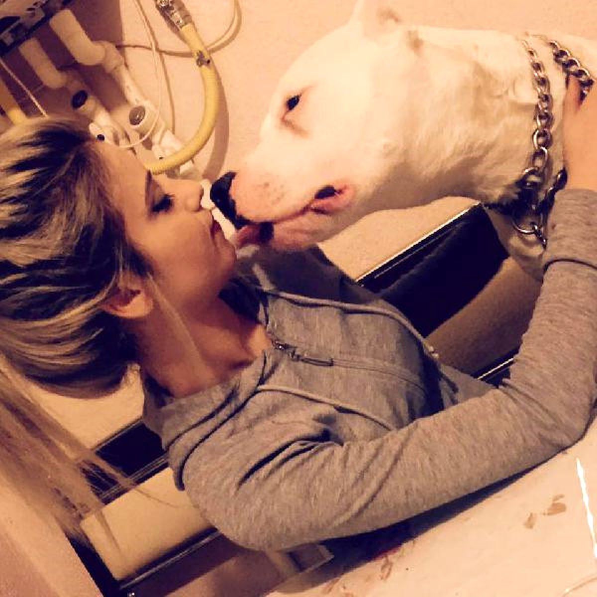 Kavga Eden Köpeğe Bıçaklı Saldırı
