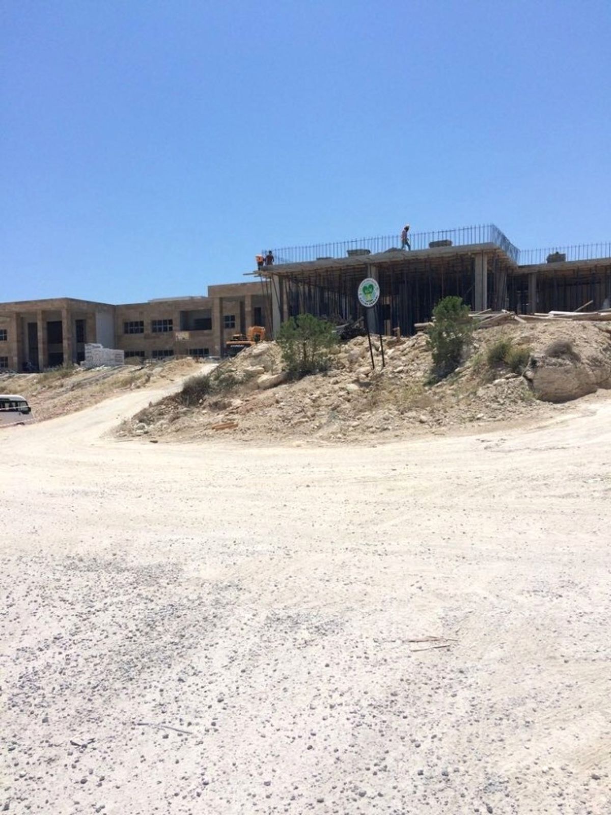 Mersin Üniversitesi\'nde Orman Kıyımı İddiası