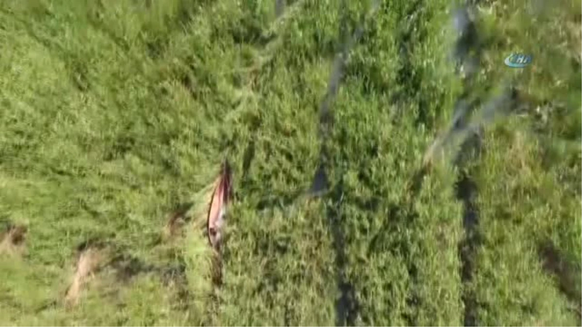 Beyşehir Gölü\'nde Elektroşoklu Avcılar Droneli Takiple Suçüstü Yakalandı
