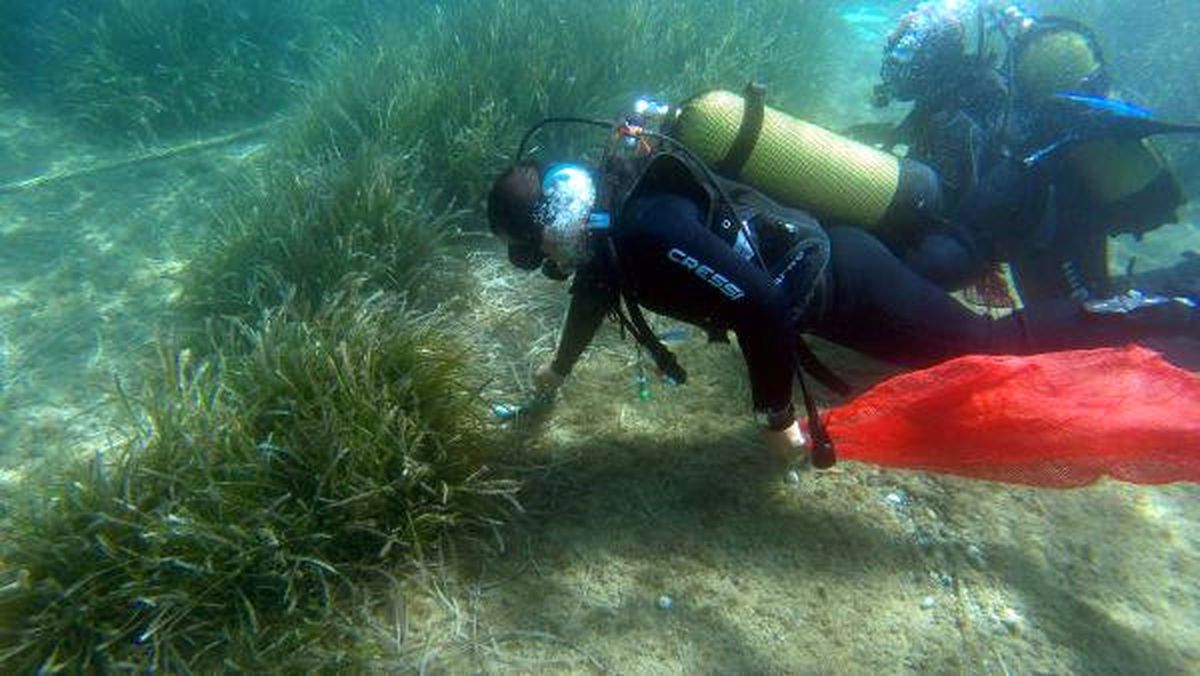 Bodrum\'daki Deniz Dibi Temizliği, Diğer İllere Örnek Oldu