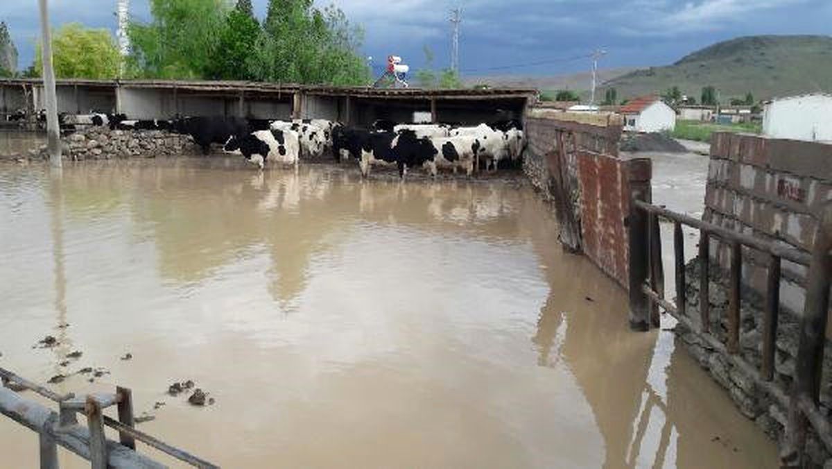 Dha Yurt  - Dere Taştı, Köy Sular Altında Kaldı
