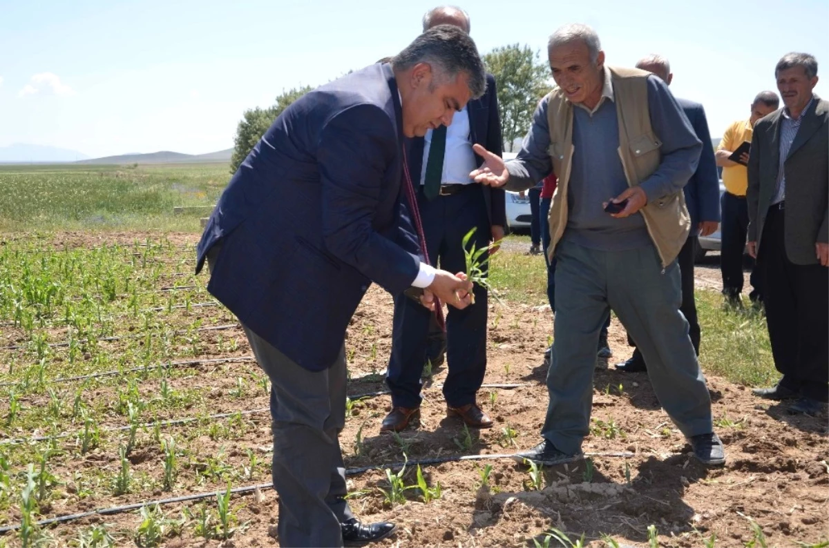 Ereğli\'de Dolu Yağışının Ardından Arazide İncelemeler Sürüyor