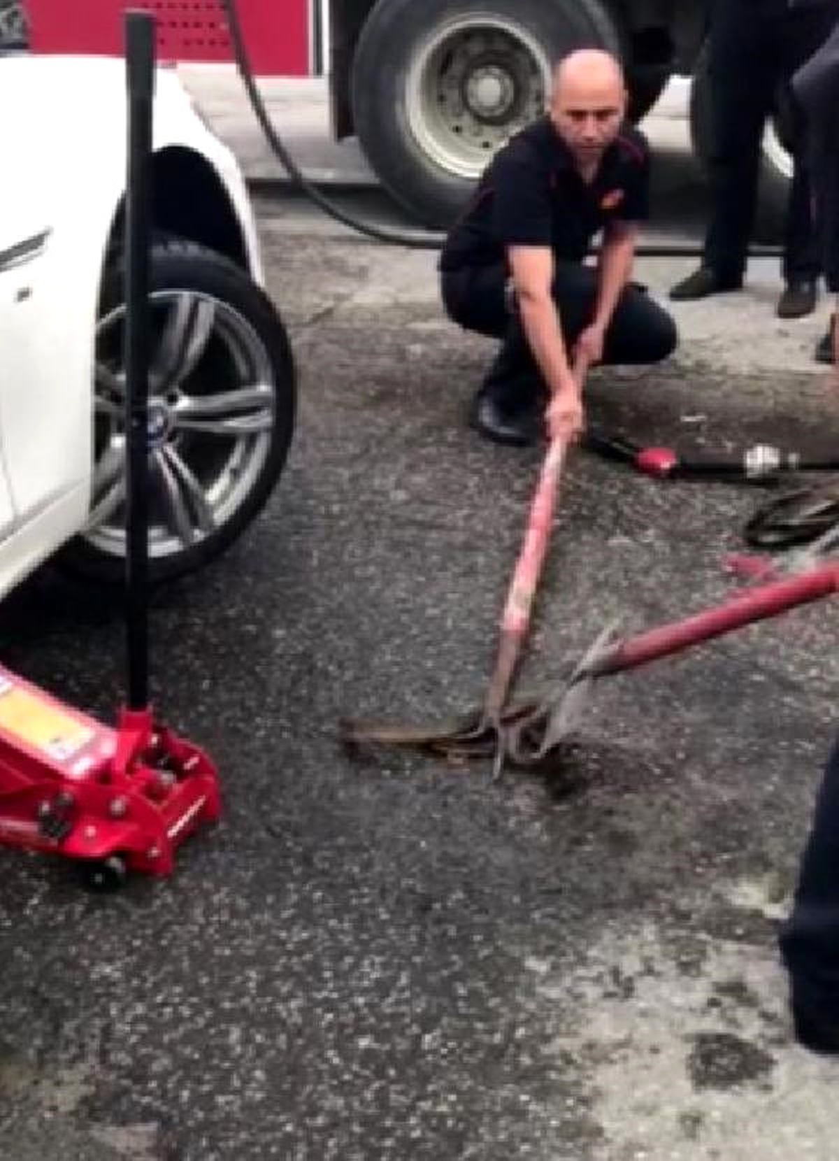 Otomobile Giren Yılanı Çıkaran İtfaiye, Kürekle İtlaf Etti