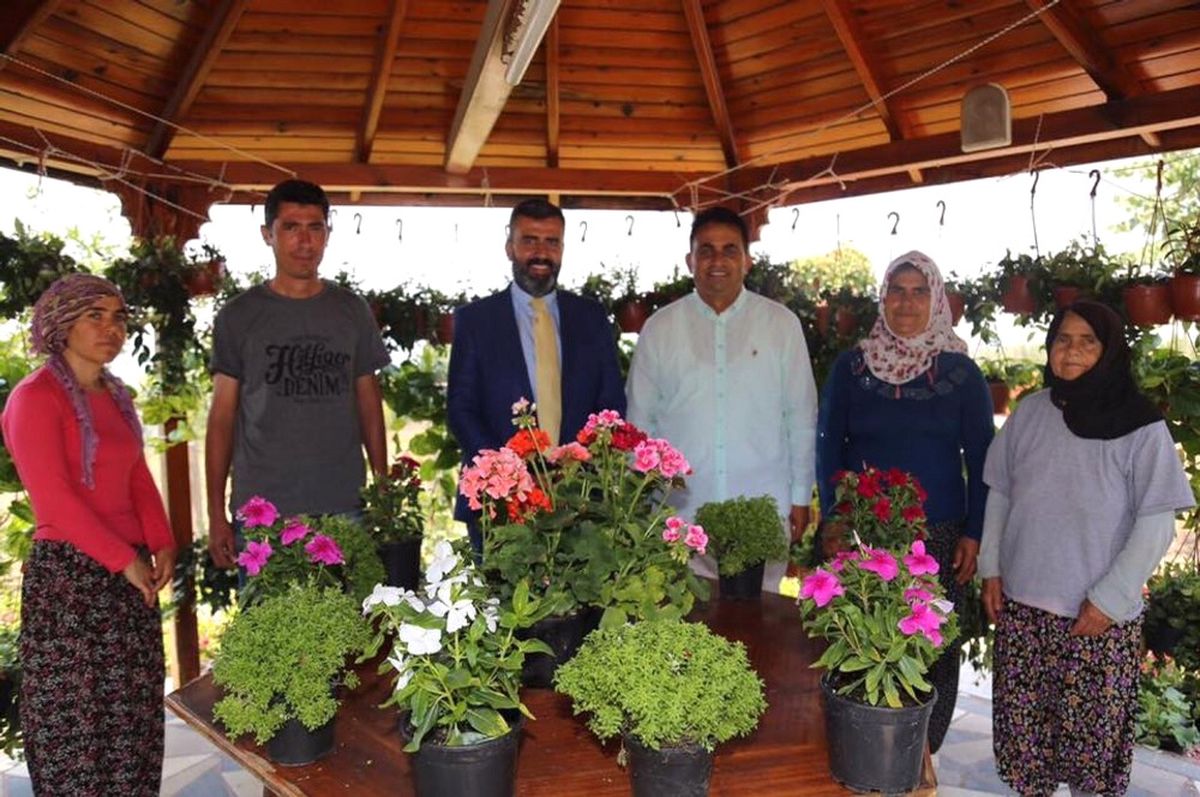 Payas\'ta Balkon Yarışması İçin Çiçekler Teslim Ediliyor