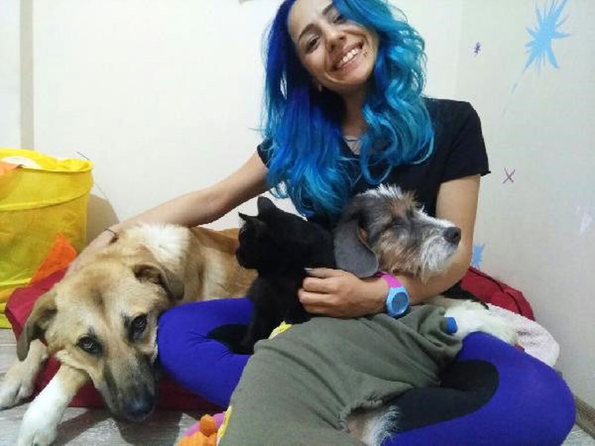 Üniversite Öğrencisi Evinde Felçli ve Görme Engelli Kedi Köpek Besliyor