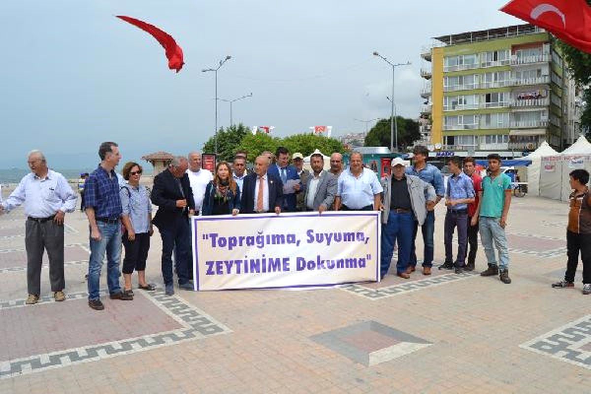 Yaslıoğlu: Şehirleşme ve Yol Yapımı Nedeniyle 887 Bin 180 Zeytin Ağacı Yok Edildi