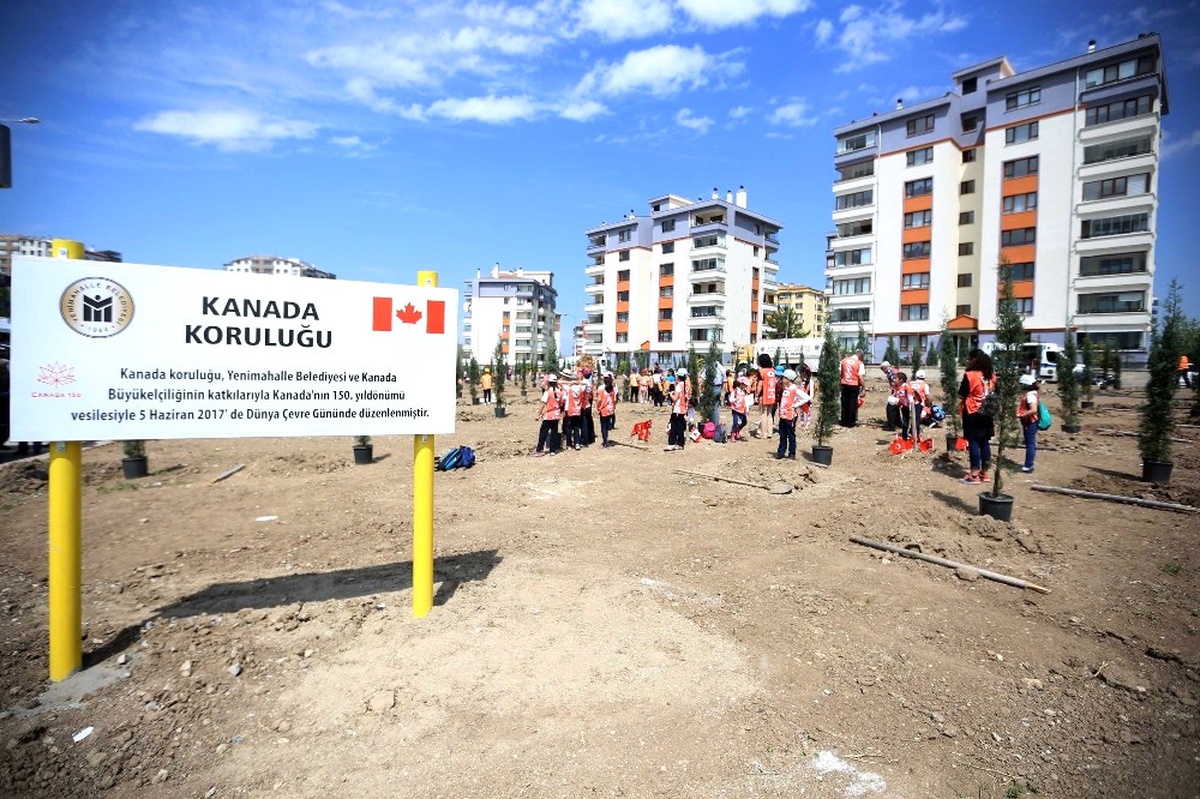 Yenimahalle\'ye Kanada Koruluğu