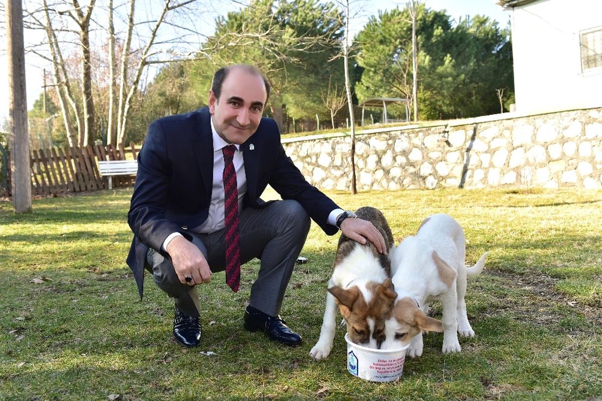 Yıldırım\'da Sokak Hayvanlarına Bir Kap Mutluluk