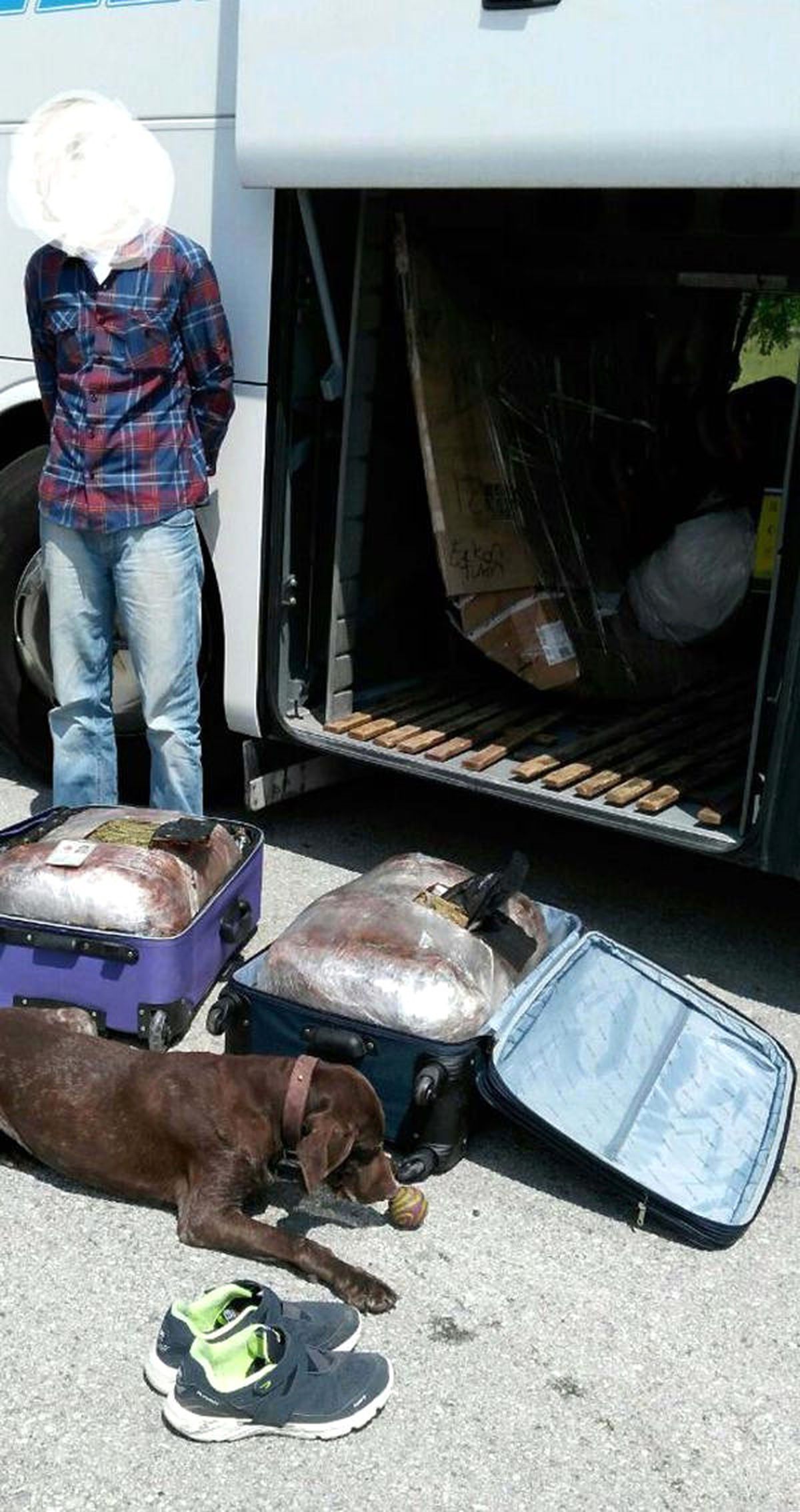 Yolcu Otobüsündeki İki Bavuldan 30 Kilo Esrar Çıktı