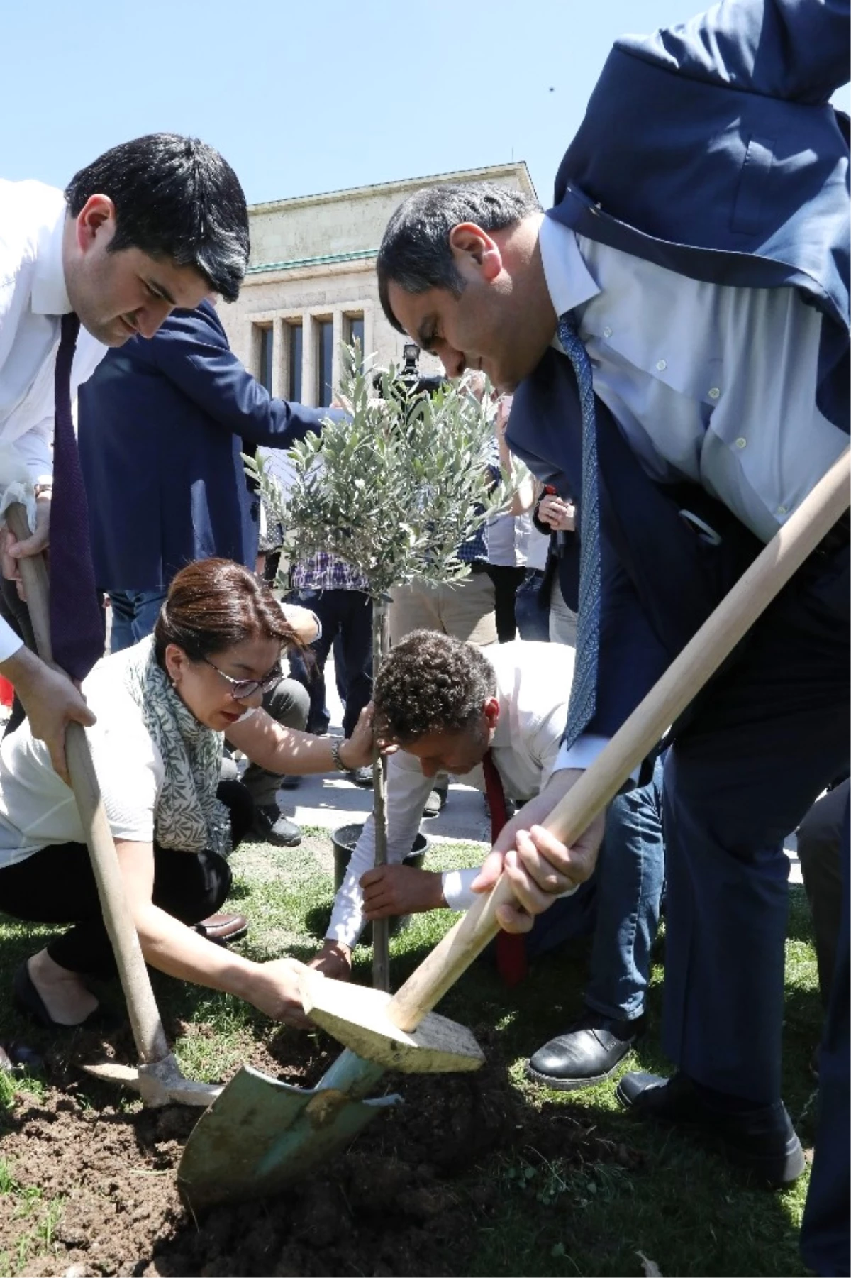 CHP Milletvekillerinden Zeytinlik Protestosu