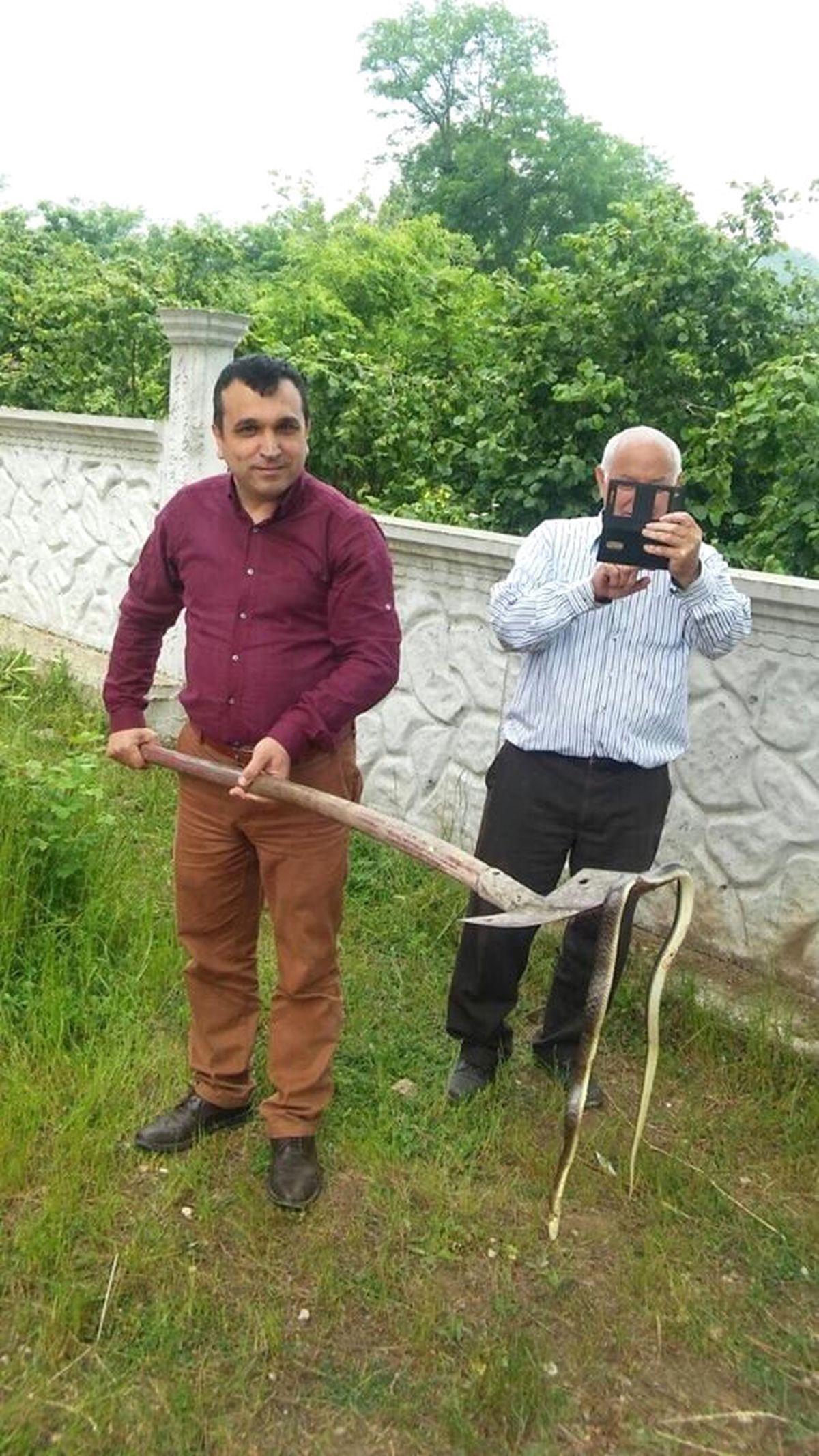Fatsa\'da Öldürülen Yaklaşık 2 Metrelik Yılan Korkuttu