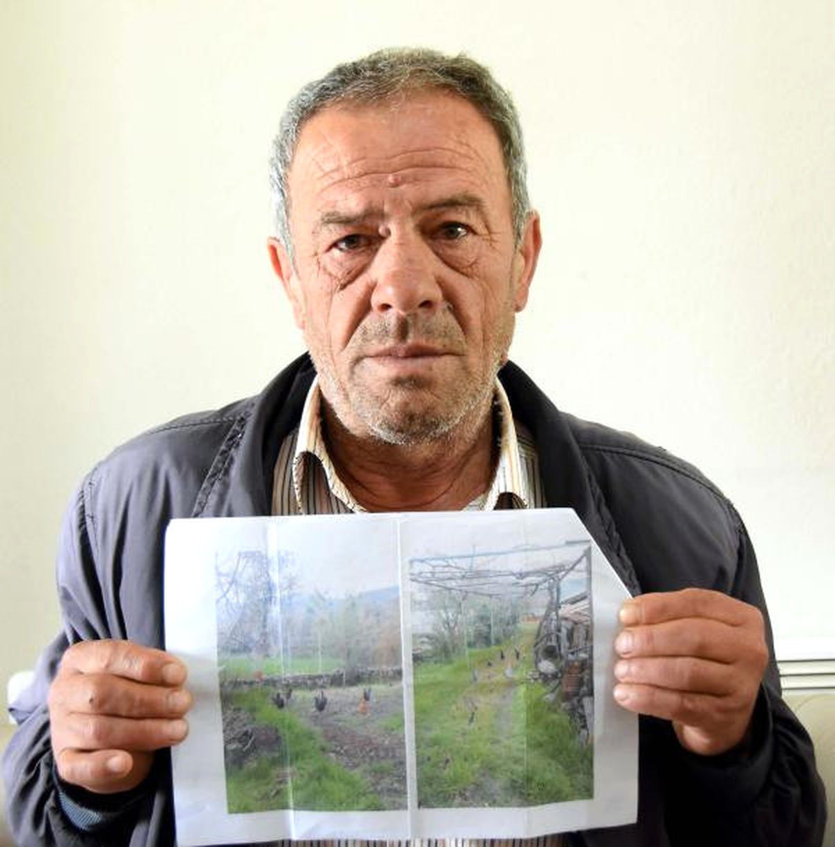 Gezen Tavukların Cezası İptal Edildi