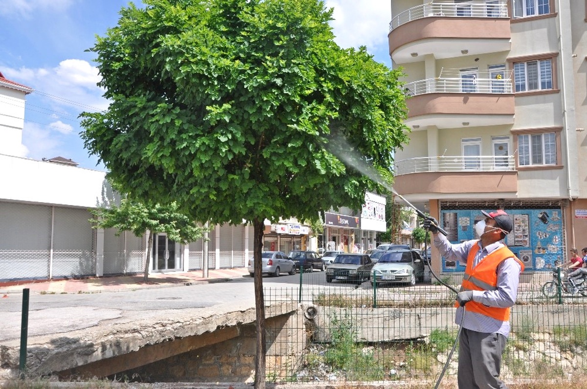 Karasineklere Karşı İlaçlama Çalışması Yapılıyor