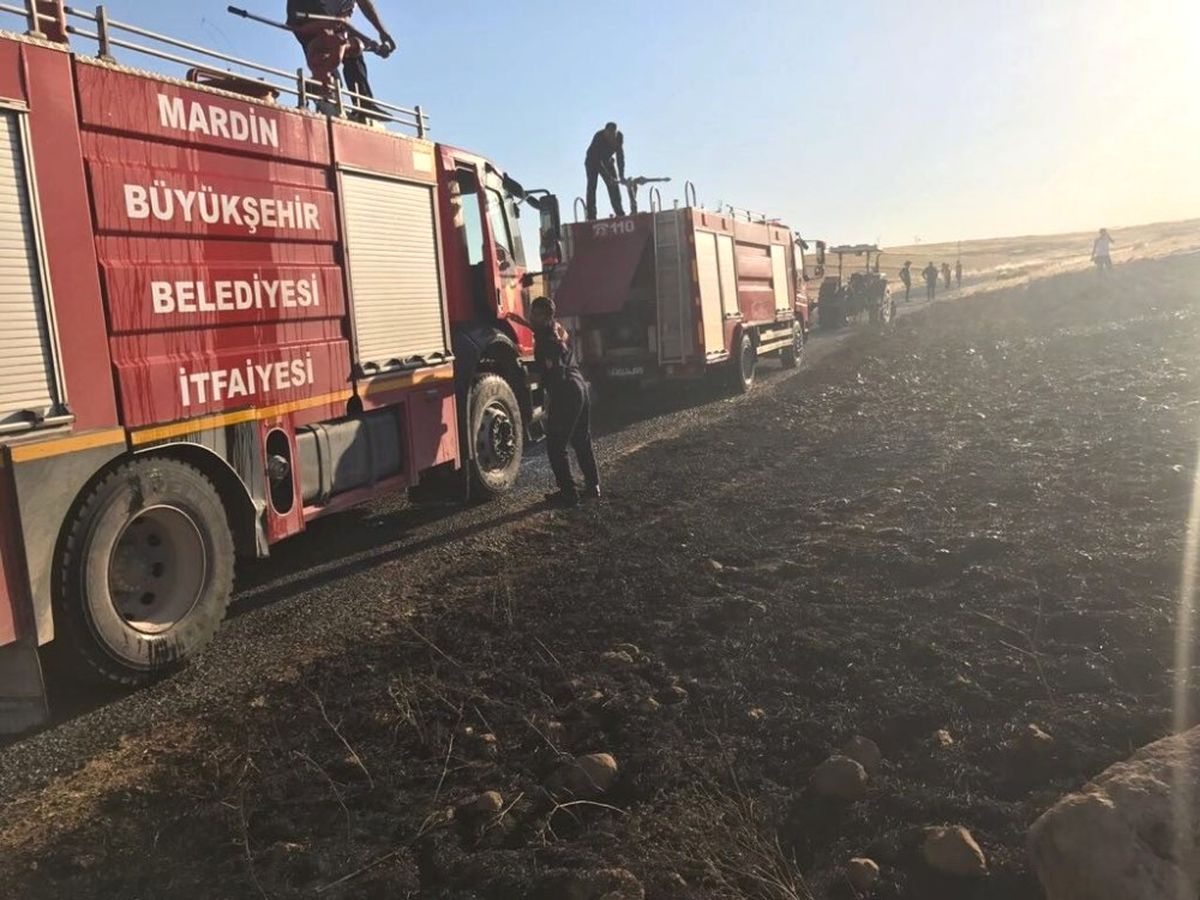 Kızıltepe de Yangın 50 Dönüm Buğdayı Kül Etti