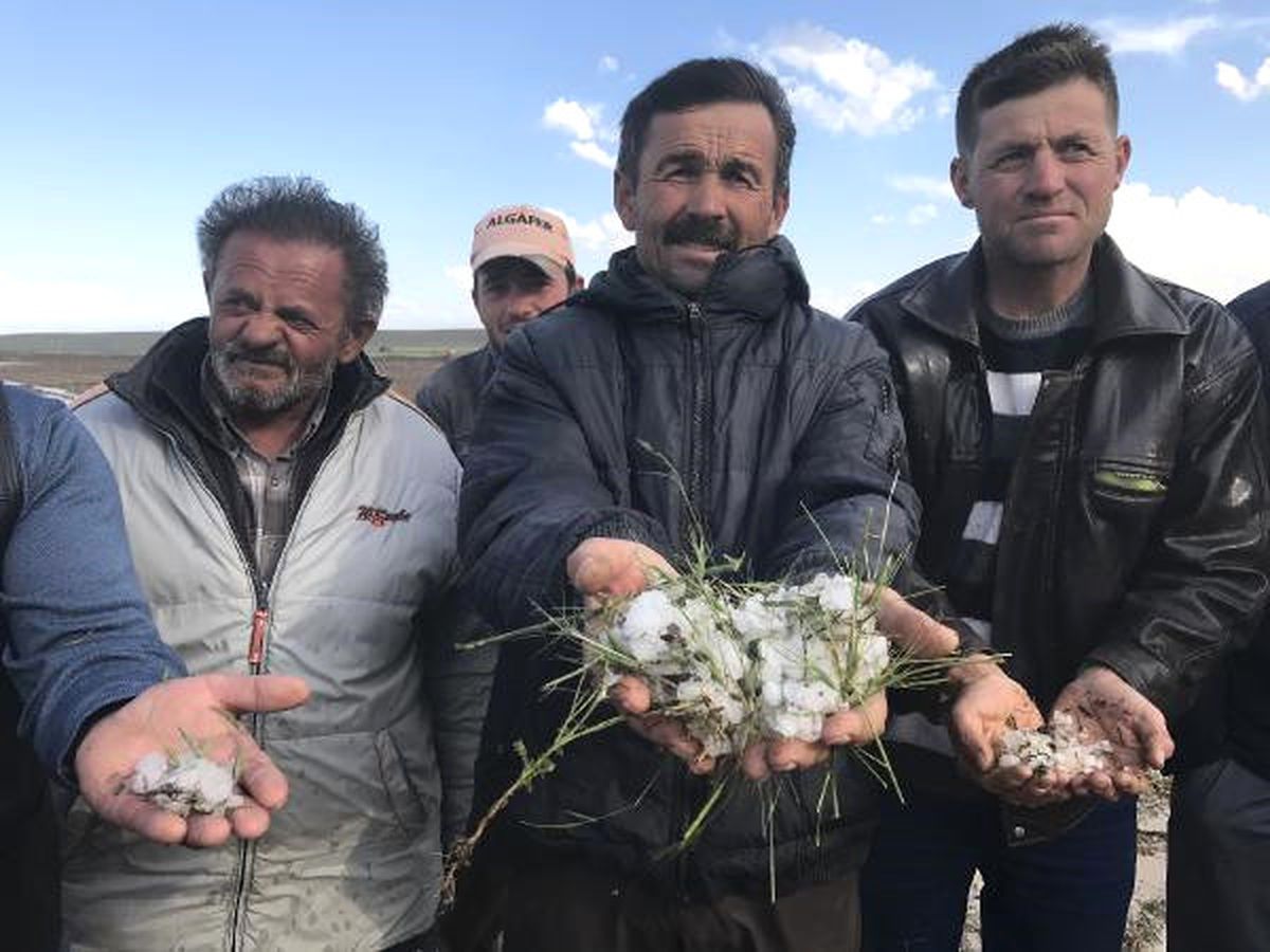 Konya\'da Meyve Bahçelerini ve Ekili Arazileri Dolu Vurdu