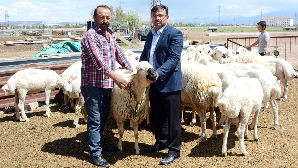 Aksaray\'da Küçükbaş Hayvancılık Teşvikle Büyüyor