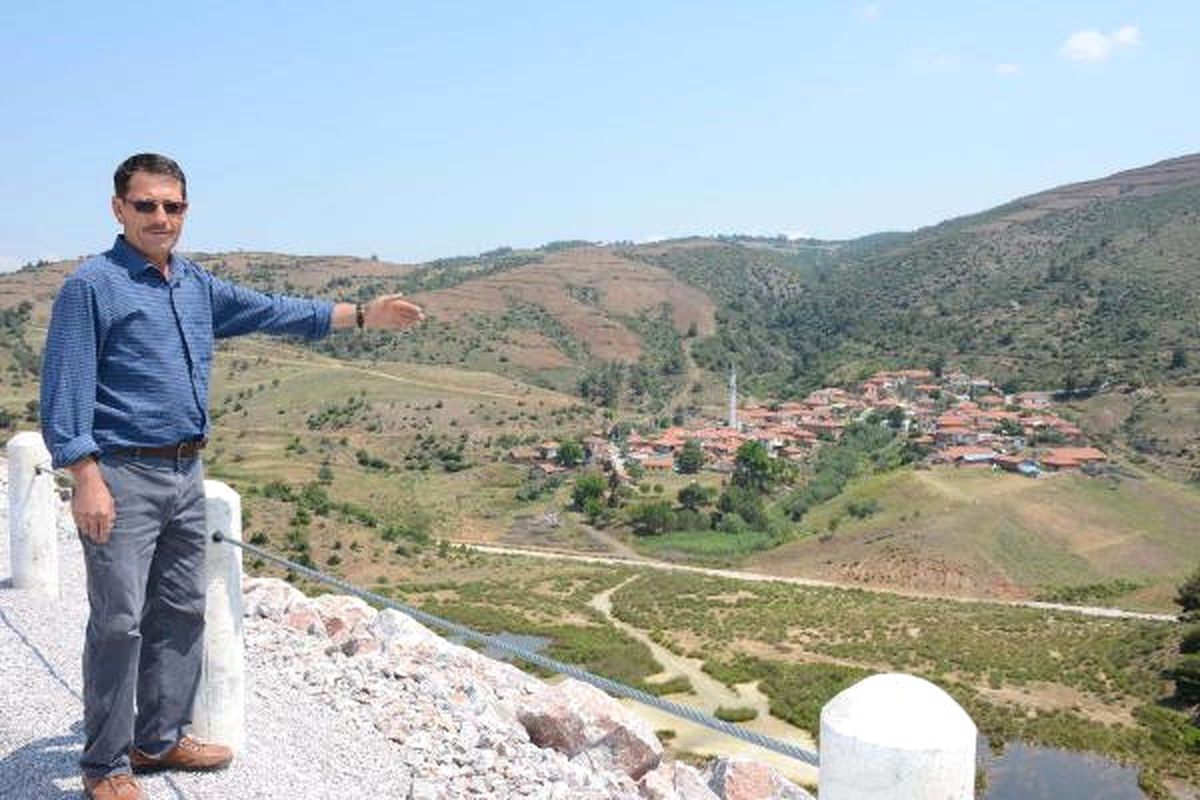 Soma\'da 80 Yıllık Zeytin Ağacı Köklenmesi Köylüyü Öfkelendirdi