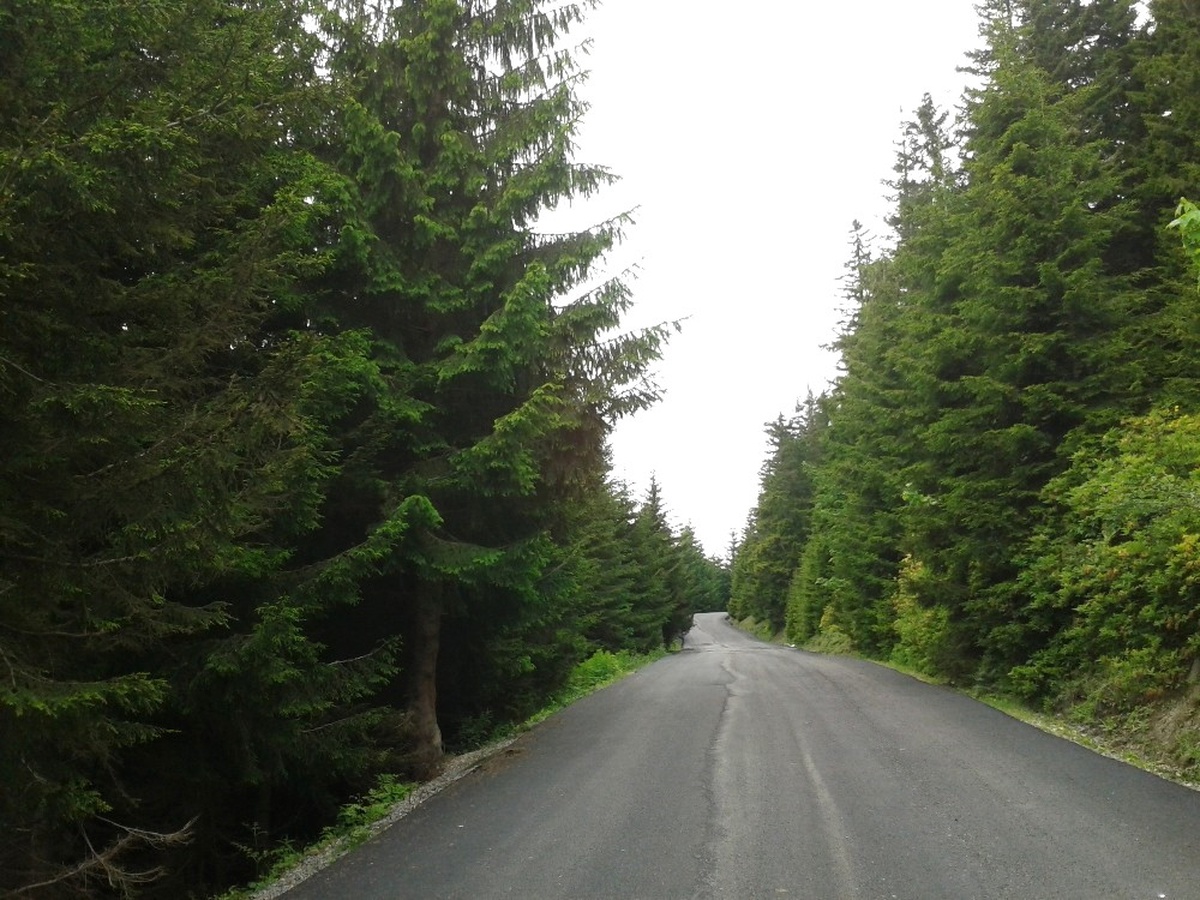 Yayla Yolları Yeşil Yol Projesiyle Birleştirilmeye Devam Ediyor