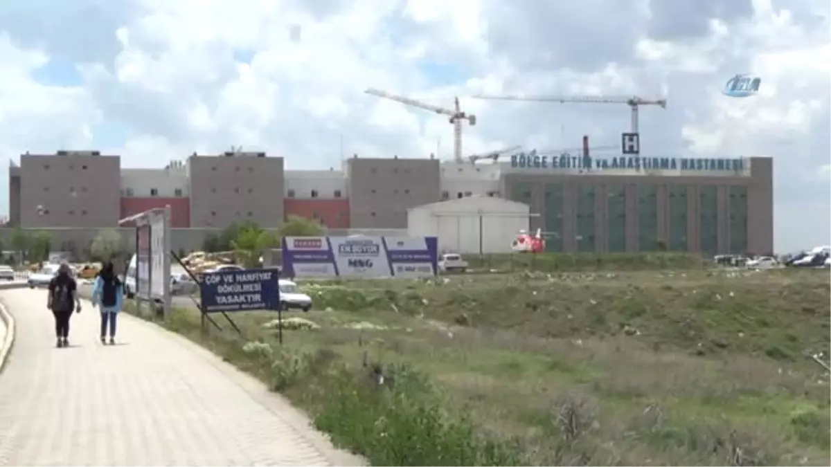 Yazın Gelmesiyle Kene Korkusu Yeniden Başladı