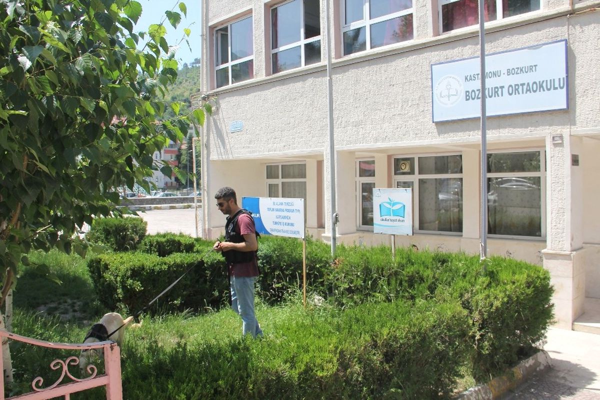 Bozkurt\'ta Polis Ekipleri Uyuşturucuya Savaş Açtı