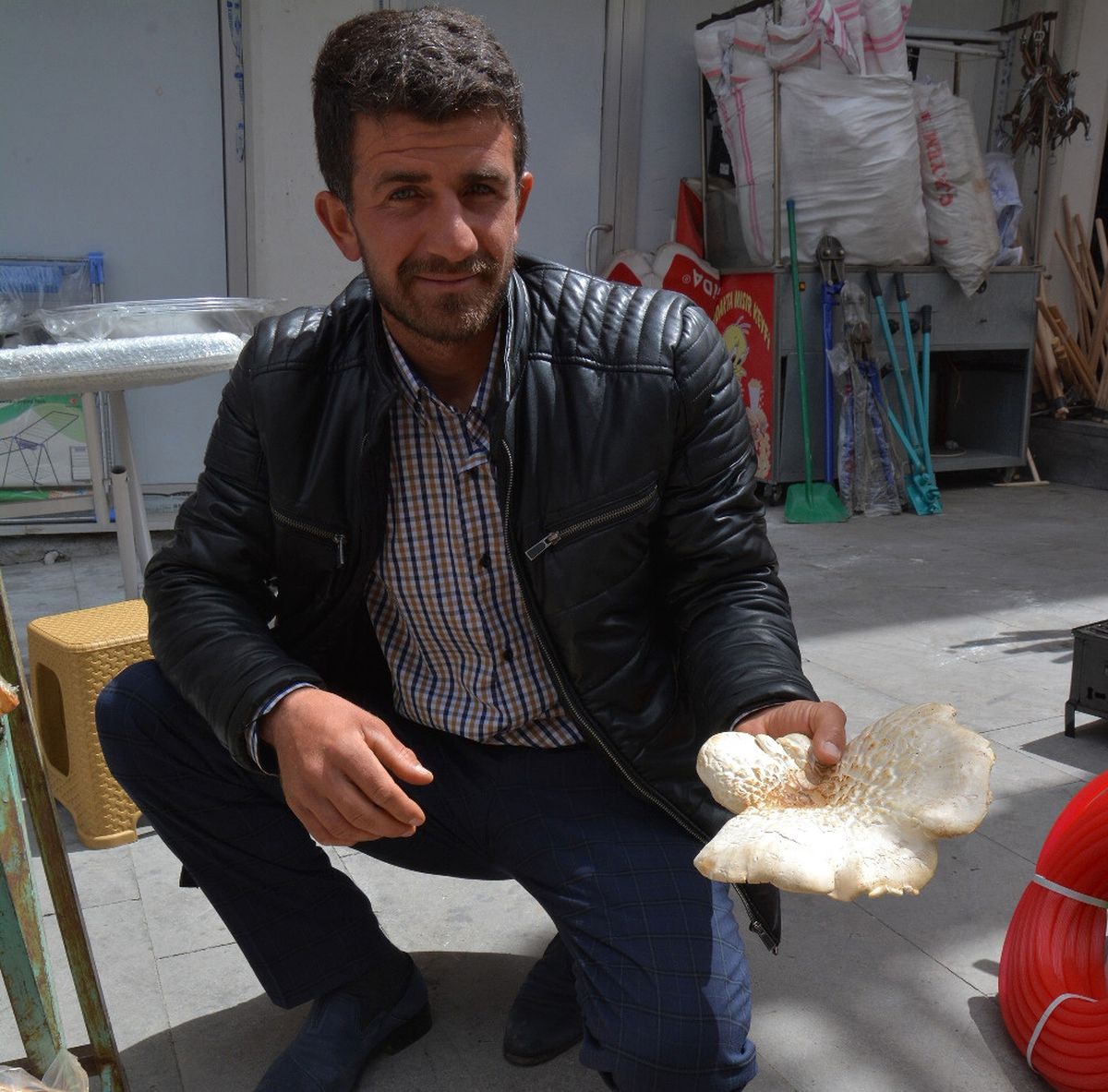 Bu Mantar Etten Pahalı