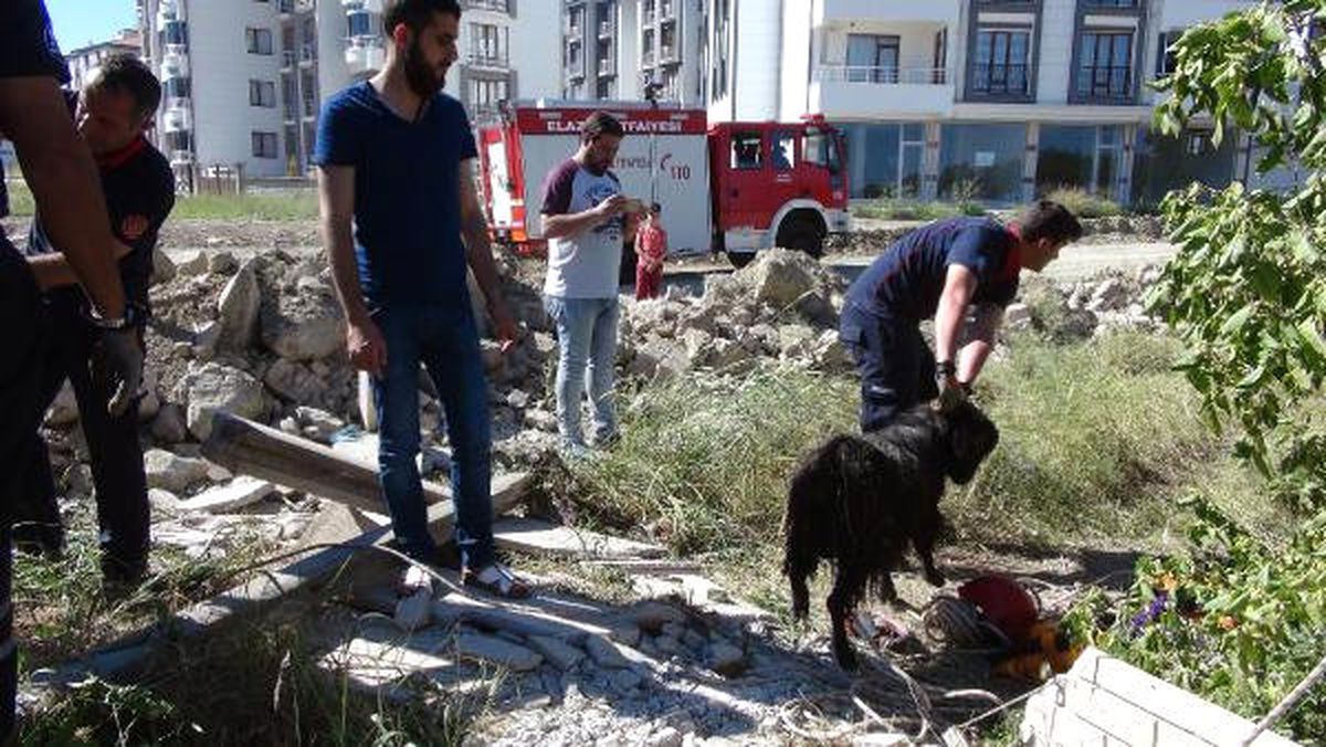 Elazığ\'da Keçi Kurtarma Operasyonu