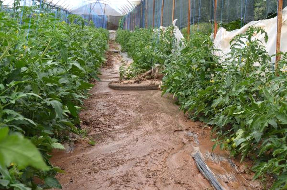 Elmalı\'da Sel Zarara Yol Açtı