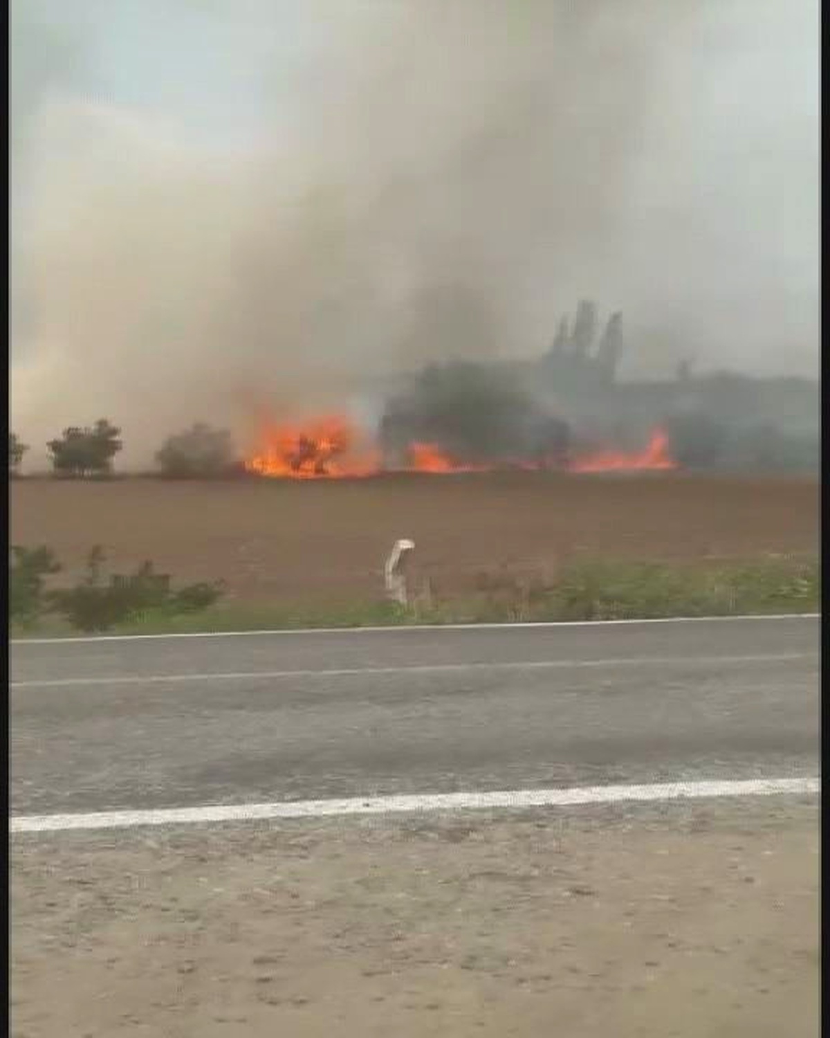 Hasat Edilmeye Hazır Ekin Tarlası Cayır Cayır Yandı