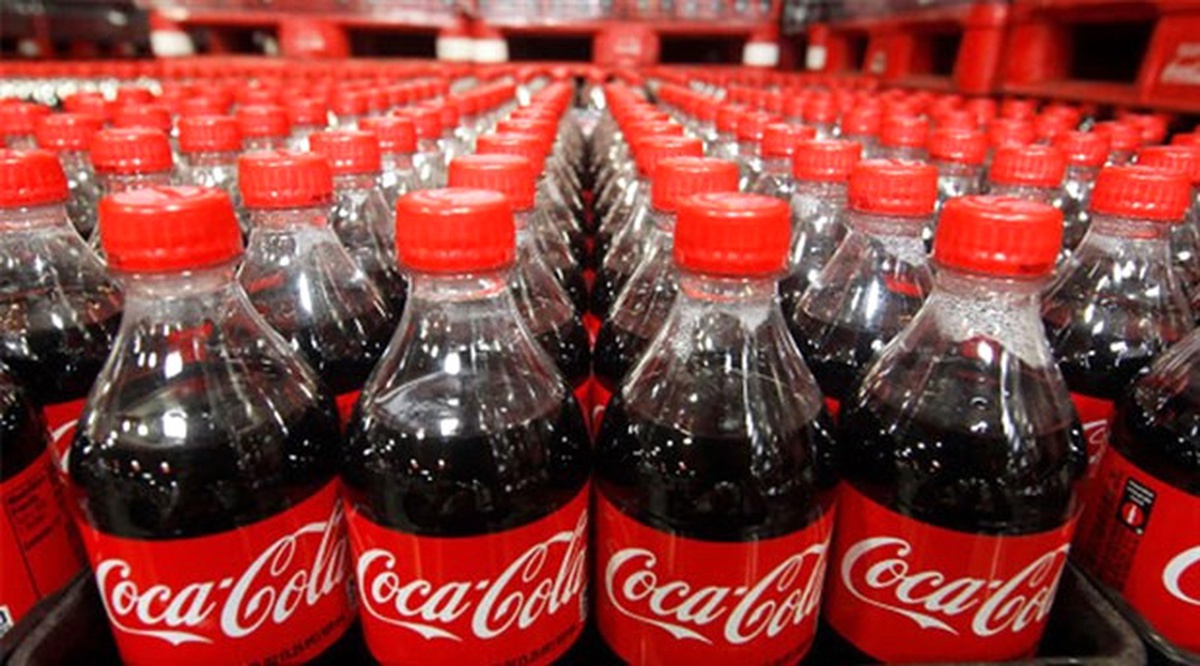 Köyde Yeşil Ekonomi Projesine Coca-Cola Desteği