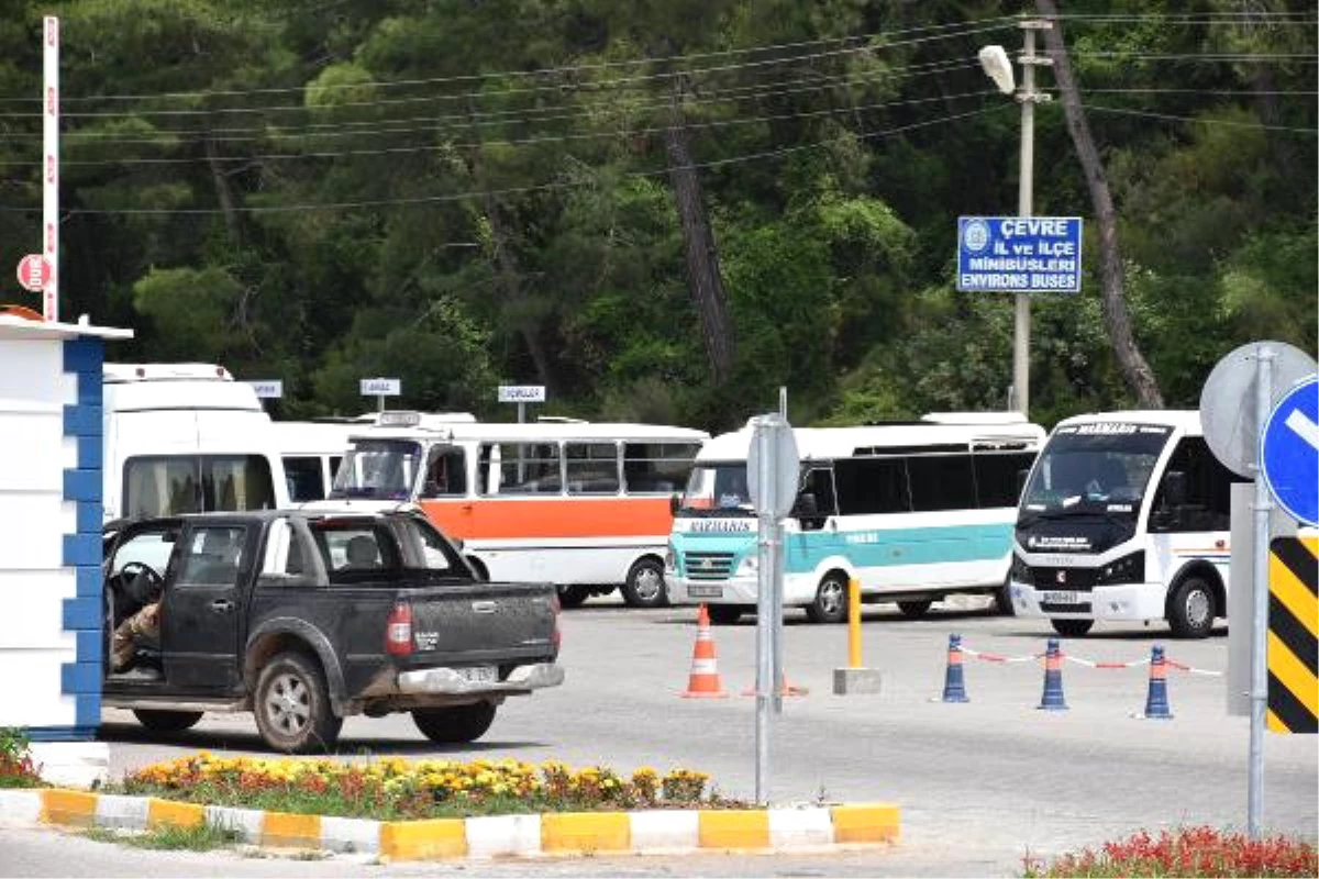 Midibüs Sürücüsü, Cep Telefonuna Bakarken Yolcuyu Ezdi