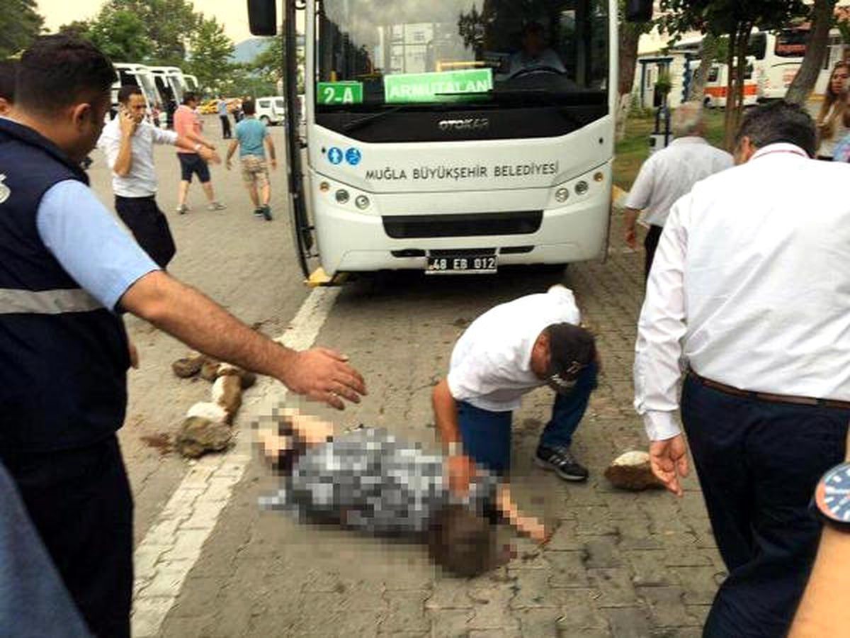 Midibüs Sürücüsü, Cep Telefonuna Bakarken Yolcuyu Ezdi (2)