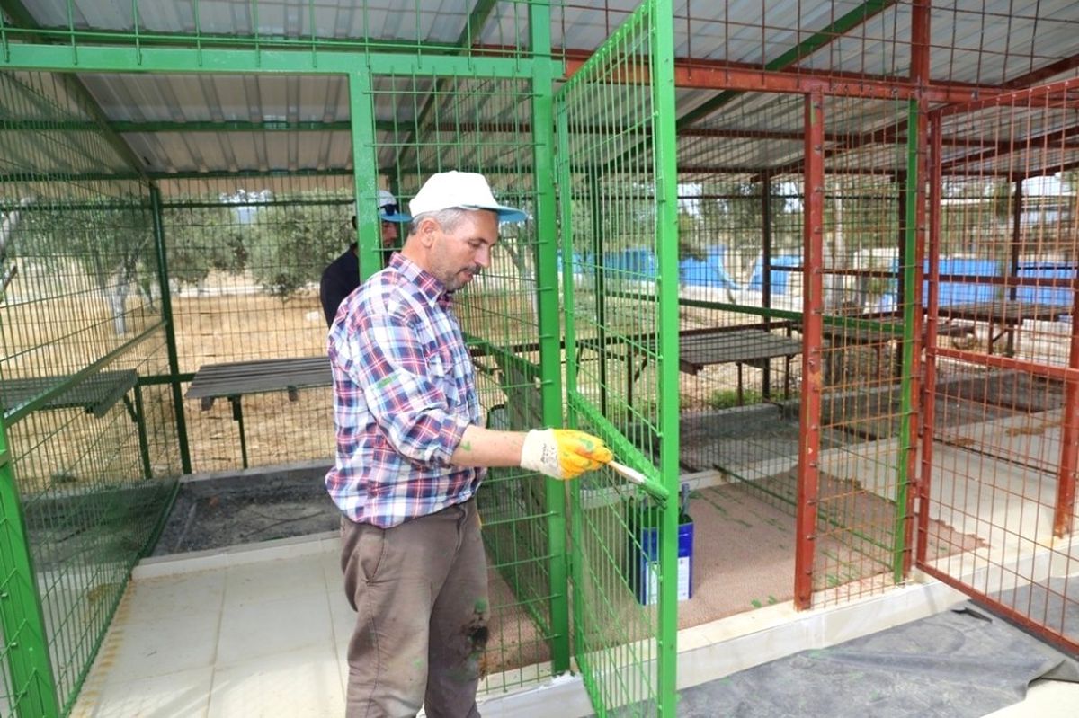 Burhaniye\'de Köpek Barınağı Genişletiliyor