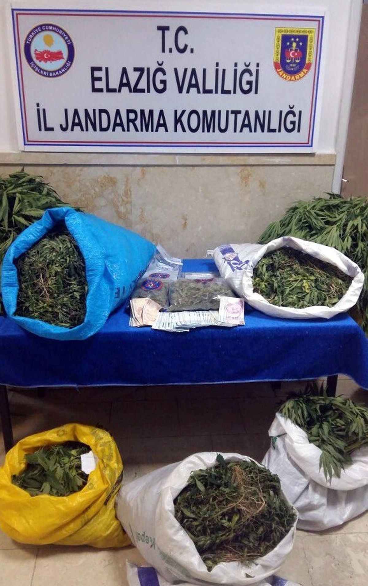 Elazığ\'da 22 Kilo Esrar ile 46 Bin Kök Kenevir Ele Geçirildi