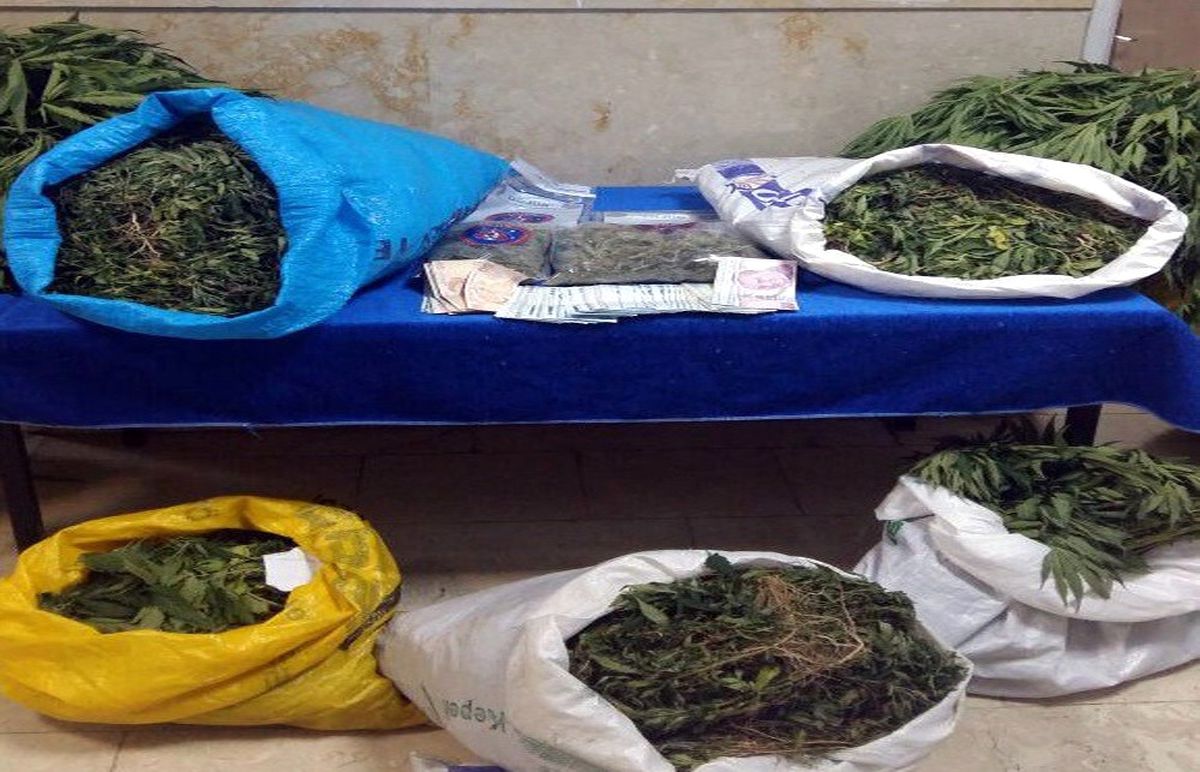 Elazığ\'da 22 Kilo Esrar Ile 46 Bin Kök Kenevir Ele Geçirildi