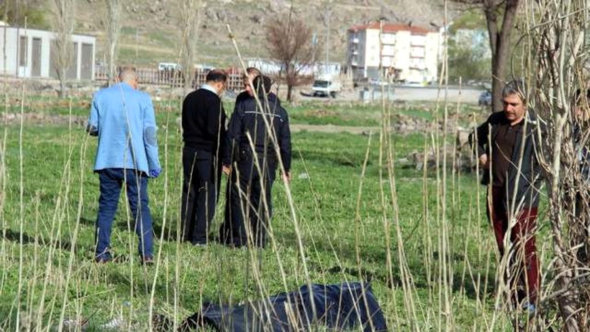 Mısır Tarlasında Hayatını Kaybetti