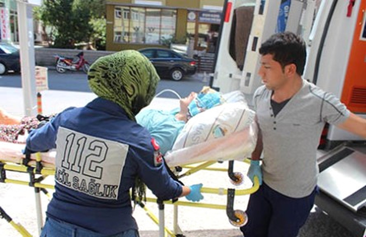Arının Soktuğu Kadın Hastanelik Oldu