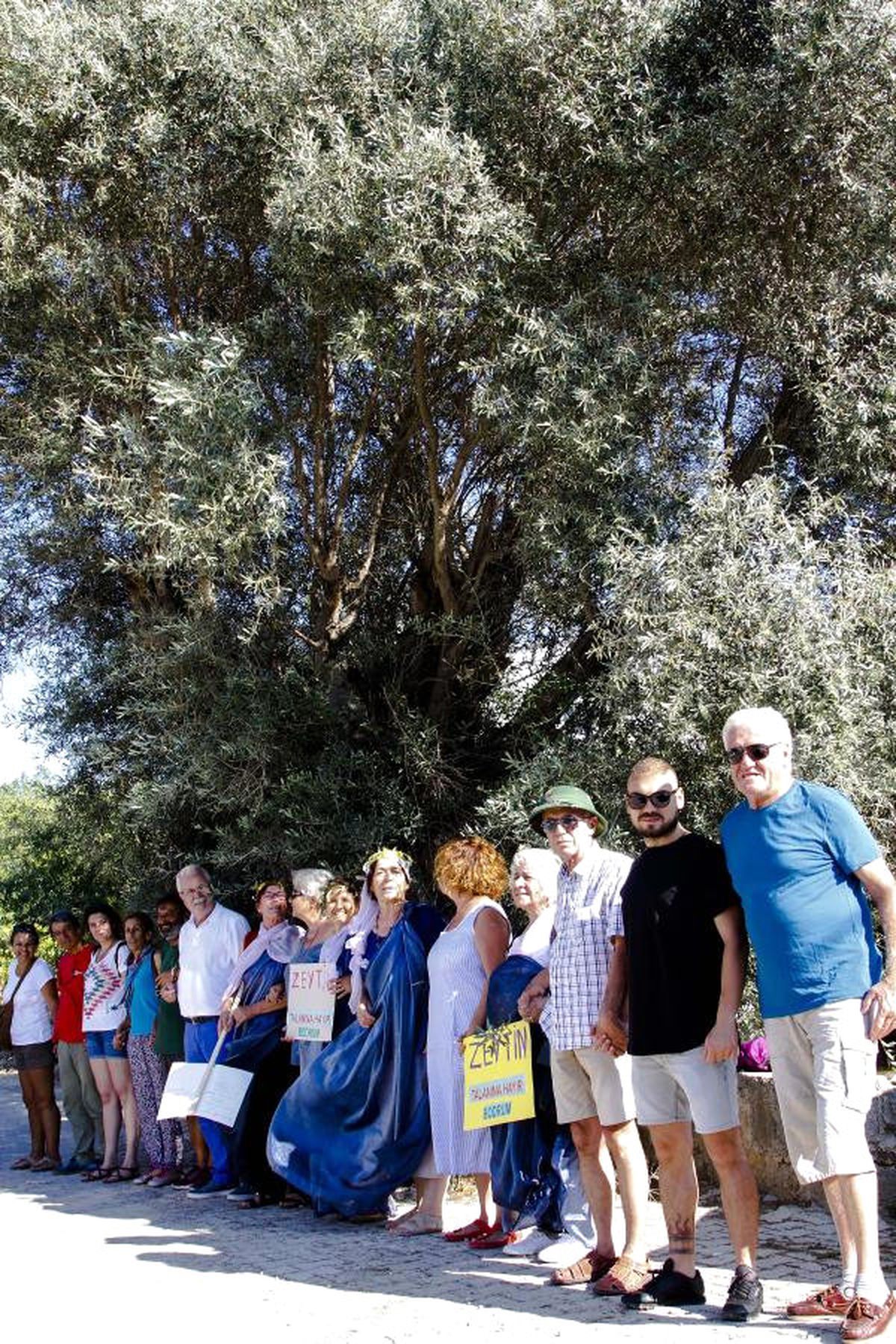 Bodrum\'da 2 Bin Yıllık Zeytinin Gölgesinde Eylem