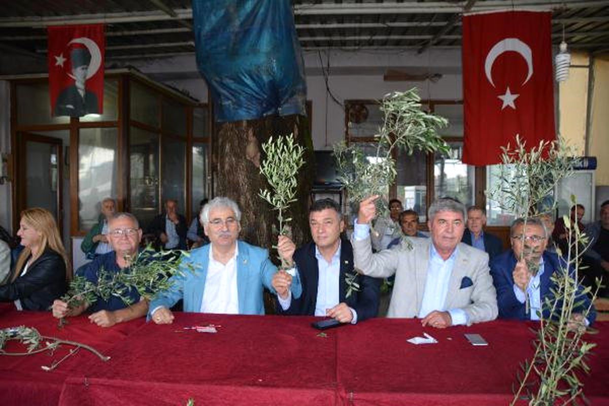 Erdek ve Bandırma\'da Zeytin Eylemi